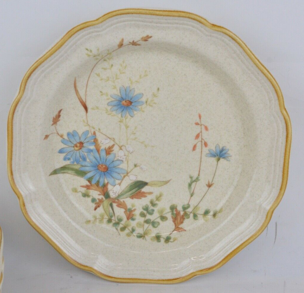 Set of 5 Mikasa Stoneware Coupe Bowls Plates Blue Beige Daisies 804 Japan 8"